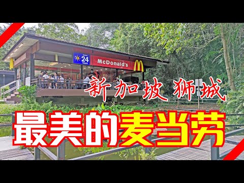 新加坡室外桃源森林麦当劳 | 女皇大道莱道公园（Ridout Tea Garden) 麦当劳快餐店 | Ahmiao Tv