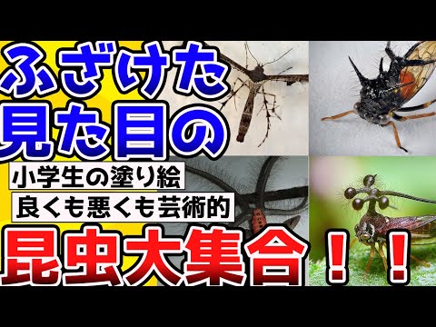 【2ch動物スレ】【閲覧注意】へんな形をした昆虫、大集合！！