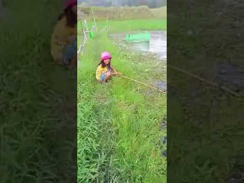 Little girl fishing #shortviral #cutegirl