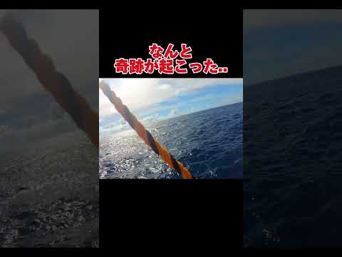 なんだこの巨大魚は…そして釣り上げた#釣り#沖縄#波照間島