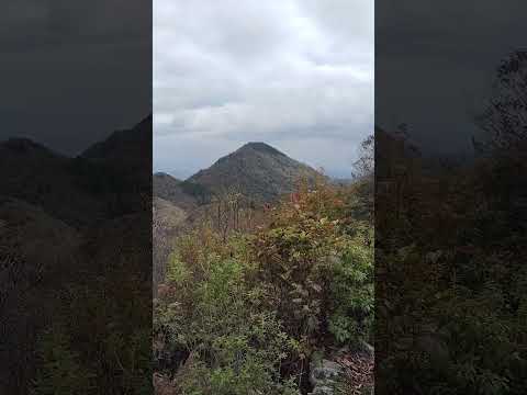 【山頂シリーズ】多紀連山　西ケ嶽