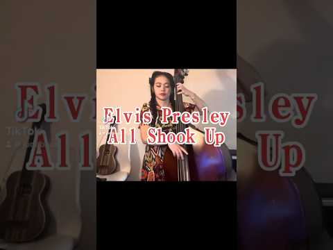 💃All Shook Up - Elvis Presley💃 bass cover