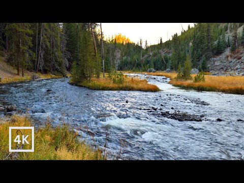 4K Firehole River Sunset | Yellowstone National Park | Forest River Nature Sounds | White Noise