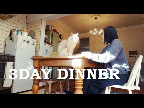 UK × JAPAN Mixed race family's food vlog : 3day dinner