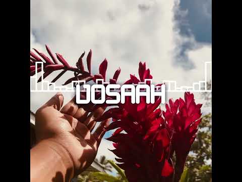 PARADISE ROOTZ - SENICEVUGA LEI X VOSAAH[679] REGGAE REMIX