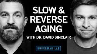 Dr. David Sinclair: The Biology of Slowing & Reversing Aging