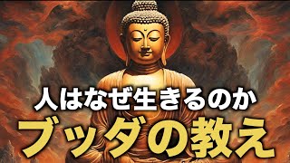 仏教の教え｜人はなぜ生きるのか