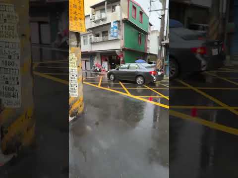 下雨就停電 是不是又哪隻松鼠#台電 #停電 #2024 #shorts