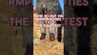 How to Put on RMPP Dog Booties + The Pull Test