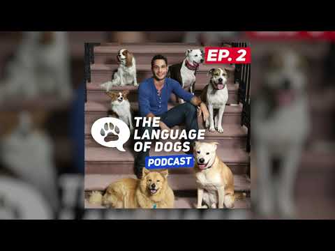 The Language of Dogs Podcast Ep2 | “COMMANDS”