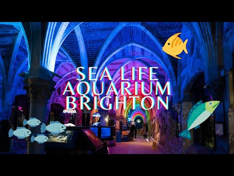 Visiting Sea Life Aquarium in Brighton