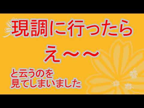 現調に行ったらえぇ～と云うのを見てしまいました。