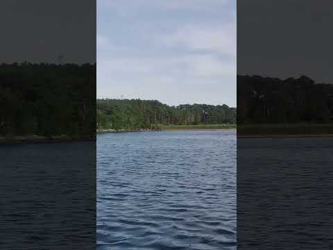 Long point state park anchorage #greatloop #cruisingbrandijo #cruisingicw #shorts #icw