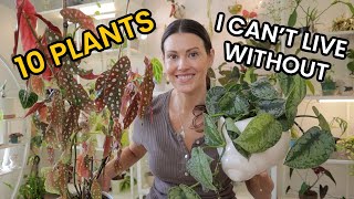 10 Indoor Plants I Can't Live Without - Favorite Houseplants