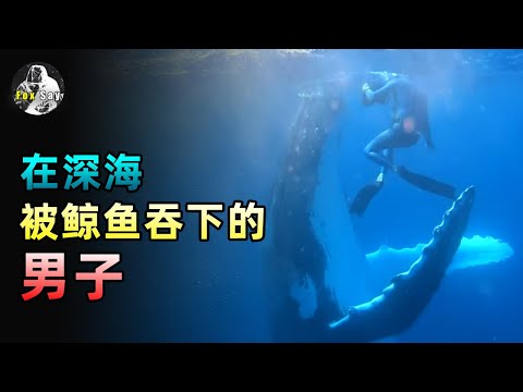 深海恐懼⚠️被鯨魚生吞入腹會發生什麼？【狐思亂想】