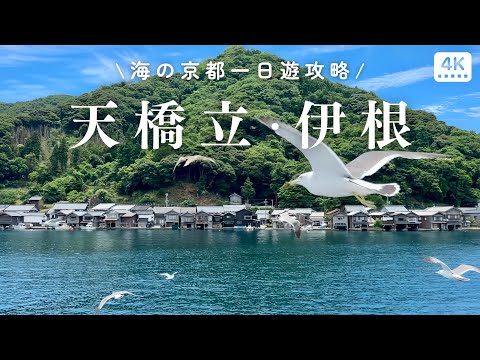 海之京都🌊天橋立、伊根一日遊｜自助搭車交通攻略、超划算票券、行程安排規劃通通告訴你！｜日本關西京都大阪自助旅行