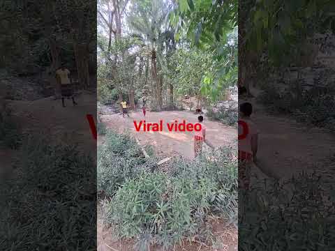 #cricket #tournament #viral #video