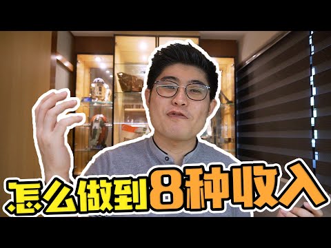 一个人可以有8种收入？还是同时的？