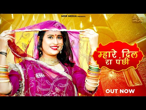 New Rajasthani Song 2023 | म्हारे दिल रा पंछी | Bablu Ankiya | Happy Singh | New Marwadi Songs