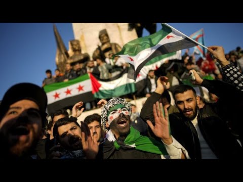 Syrian diaspora across Europe reacts to the downfall of Bashar al-Assad