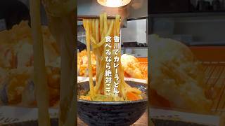 【香川グルメ】 カレーうどん こだわり麺や坂出林田店 #japanesefood