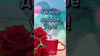 ❤️ Ты моё доброе утро! 💕 С добрым утром! 🌹 #shorts