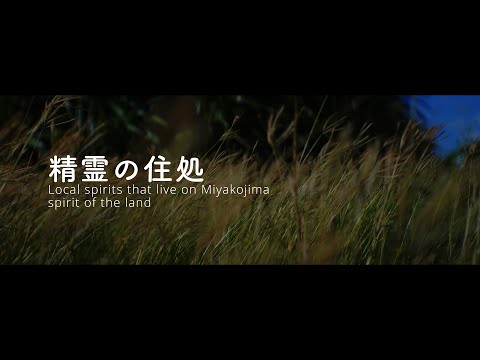 Local spirits that live on Miyakojima / SONY FX3 / SIRUI Saturn Anamorphic lens 50mm T2.9