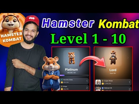 Hamster kombat level kaise badaye | Hamster kombat level increase| Hamster kombat level badao