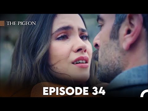 The Pigeon Episode 34 (FULL HD)