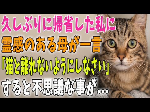 【猫の不思議な話】上京してしばらく帰省しなかった私→久しぶりに帰省した私に霊感のある母が一言→「猫と離れないようにしなさい」すると不思議な事が…。【朗読】