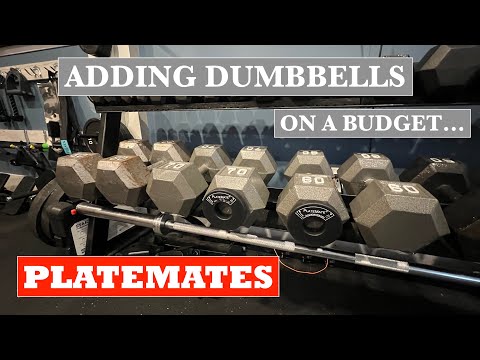 How to Add Dumbbells to your Home Gym on a Budget!