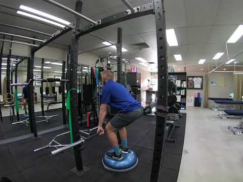 Bosu Ball Squat