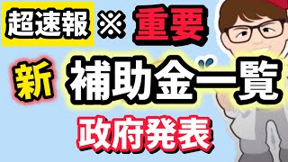 超速報・中小企業個人事業主向け新補助金情報・経済産業省概算要求令和７年度２０２５年生産性革命推進事業・ ものづくり・IT導入・ 持続化補助金・事業承継引き継ぎ・ 事業再構築【マキノヤ先生】第1902回