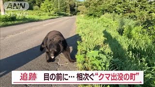 “クマ出没の町”相次ぐ　目の前に遭遇…「8頭同時侵入」も　カメラが捉えた一部始終【Jの追跡】(2023年11月4日)