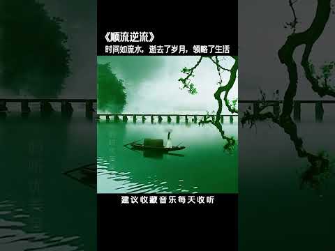 靜靜聽曲，好好生活，慢慢相遇，時間如流水，逝去了歲月，領略了生活，頓悟了人生！# 純音樂#輕音樂#琵琶