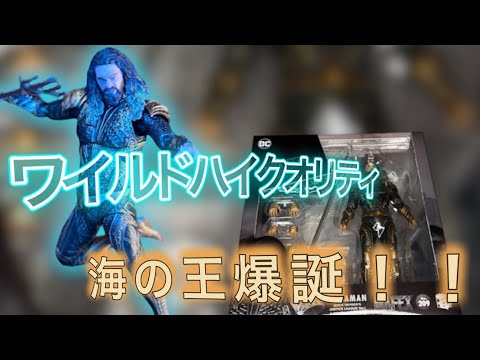 ワイルドハイクオリティな海の王！！【MAFEX アクアマン　ジャスティス・リーグ】レビュー　Aquaman Justice league review