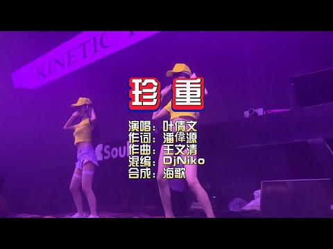 叶蒨文《珍重》DjNiko Electro Mix KTV 导唱字幕 （备有伴奏视频）