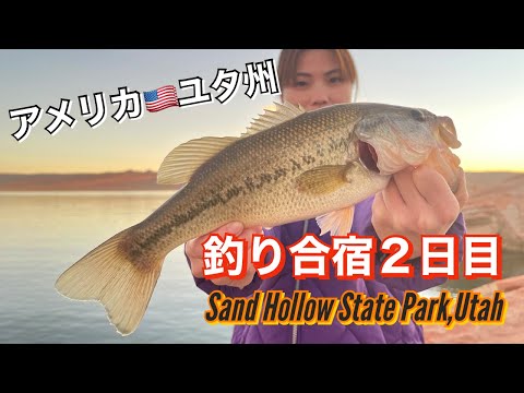 【ユタ州🇺🇸バス釣り合宿】２日目。アメリカのラーメン屋に行ったけど色々となんか違う。笑｜BASS FISING at Sand Hollow State Park,Utah Day 2