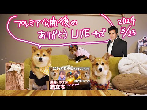 【3/23】初プレミア公開後の緊急配信【ほんとにありがとう】