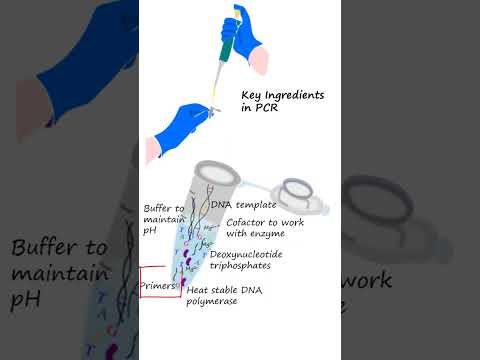 Polymerase Chain Reaction (PCR) Basics