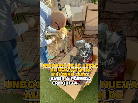 Unboxing de la nueva alimentación de mi perro guía: ¿amor a primera croqueta? 🐾😱