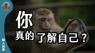 【個人成長】你可能不夠了解自己｜自我認知｜礦工熊 Miner Bear