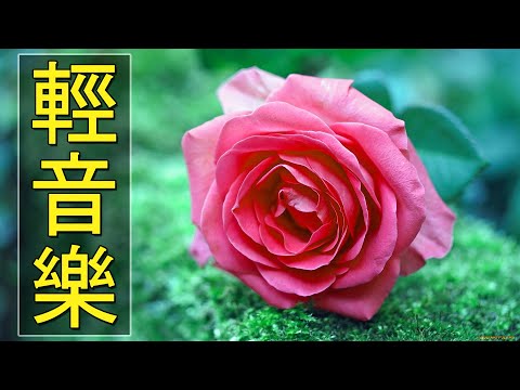 【非常好听】🎷🎷週末聽50首最好的老音樂 🌺早上最適合聽的輕音樂 🎵 每天調心洗滌心性 - 薩克斯風 - 無廣告音樂  - 轻音乐 - 探戈老歌 Old Taiwanese Music