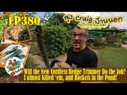 EP380 Will the New Cordless Hedge Trimmer Do the Job? I almost killed 'em and Rockets in the Pond!