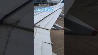 ✈️エアバスA321のフラップの動き方　いろんなパーツがバラバラに動くのが楽しい #a321 #airbus321 #flap