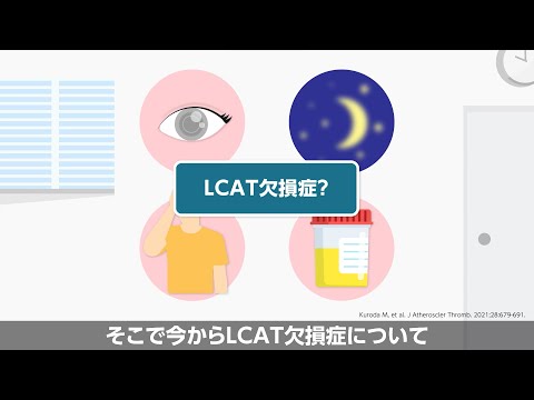 LCAT欠損症について