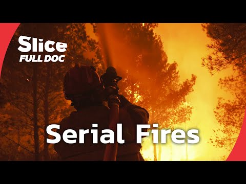 Battle Against Flames: Marseille's Record-Breaking Wildfires of 2016 | FULL DOCUMENTARY