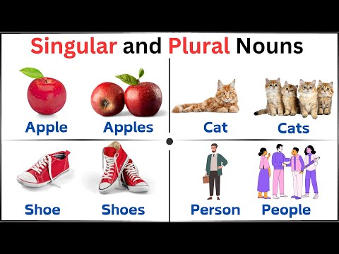 Singular and Plural Nouns Made Easy for Kids! | Singular and Plural Forms | Grammar Basics For Kids