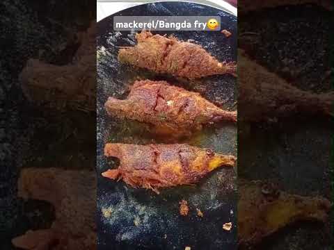 mackerel/bangda fish fry #fishfryrecipe #shorts