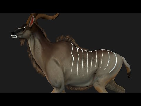 Kudu